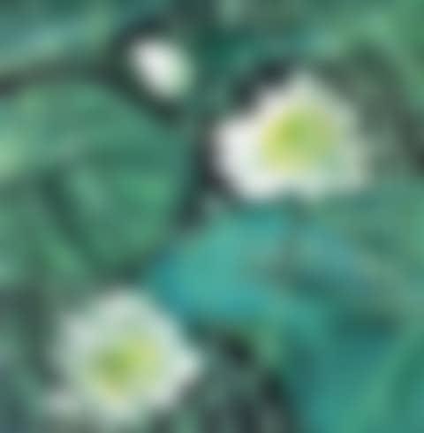 Lotus (preview)