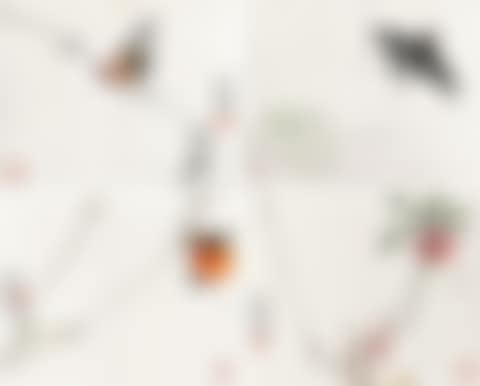 Birds and Flowers (preview)