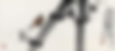 Bamboo And Birds (preview)