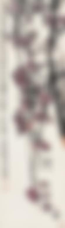 Peach Blossoms (preview)