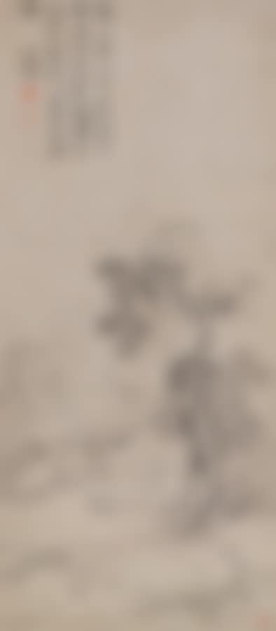 LANDSCAPE (preview)