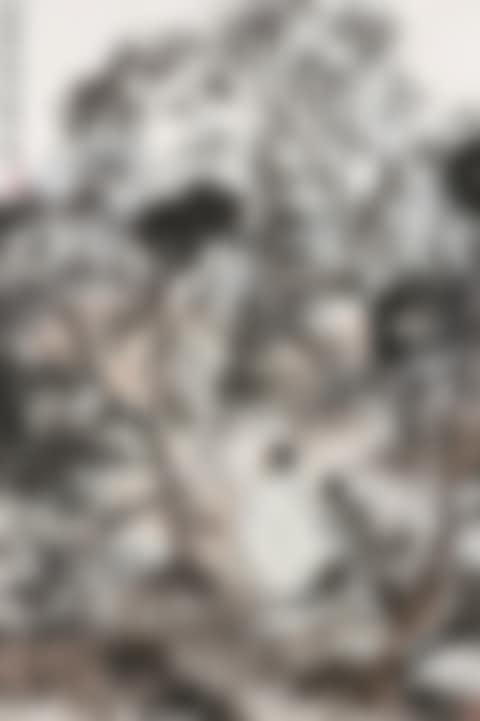 YUAN MING DRINKING WINE (preview)