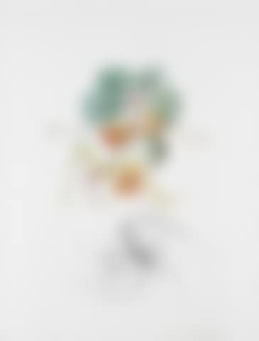 Abricot Chevalier (from FlorDali/Les Fruits) (preview)