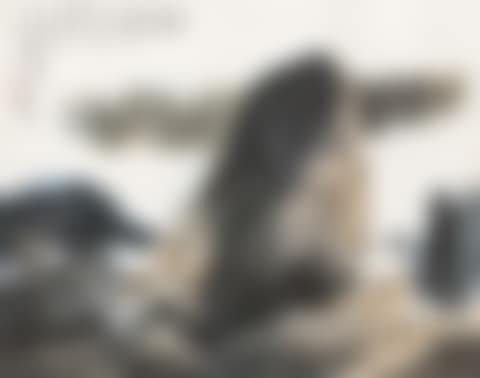 Reading At Night By The River (preview)