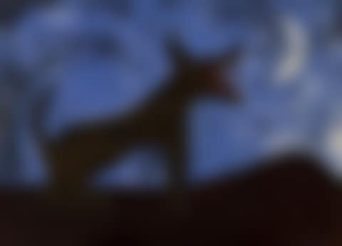Perro De Luna (Moon Dog) (preview)