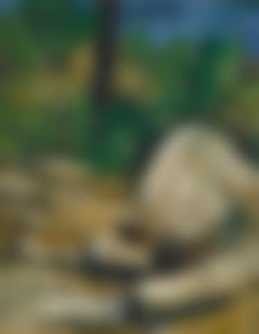 Spring Among Rocks, Prescott, Arizona (preview)