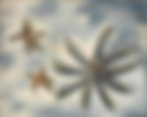 Starfish (preview)
