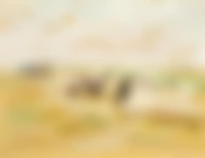 Harvest (preview)