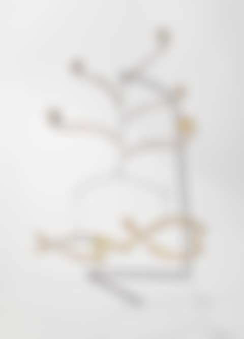 FISH AND WATER WEEDS (preview)