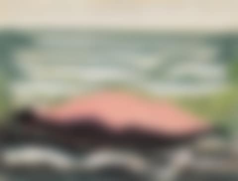 PINK ISLAND, WHITE WAVES (preview)