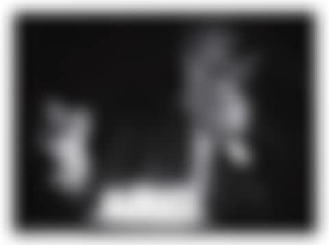 UNTITLED (BOLEGO)  (preview)