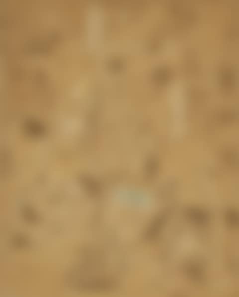 STUDY FOR THE BETROTHAL  (preview)