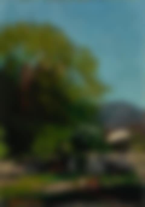 PAYSAGE (preview)