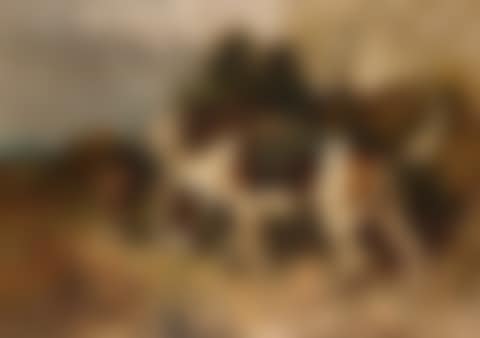THE TUFTERS (preview)
