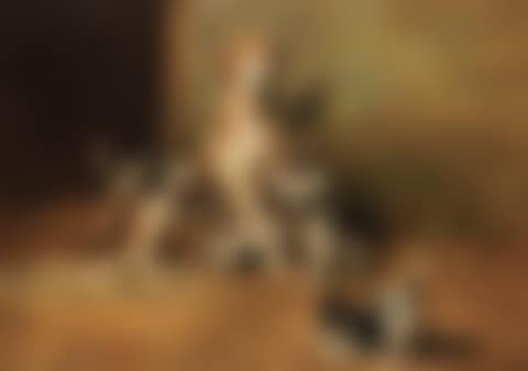 PLAYTIME (preview)