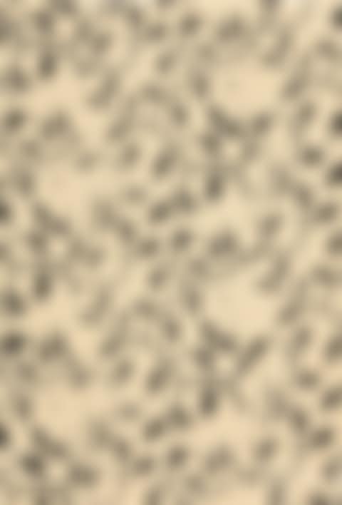 UNTITLED (preview)