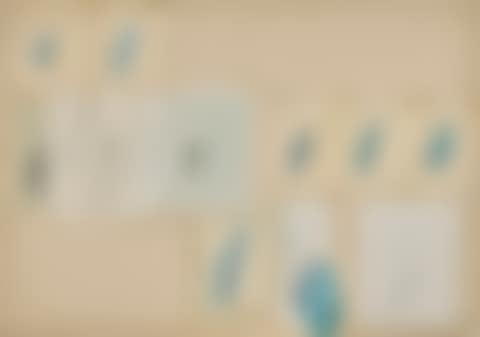 UNTITLED (preview)