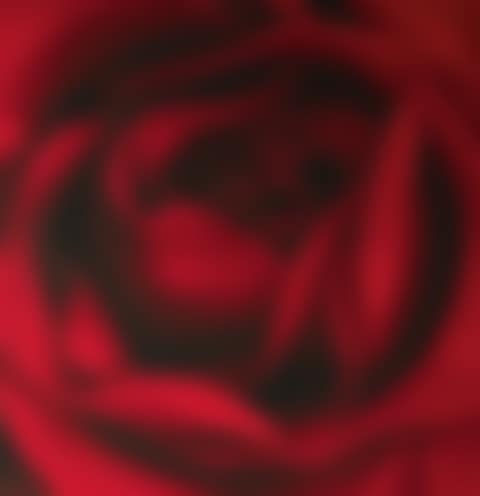 UNTITLED (NOVEMBER 2) (preview)