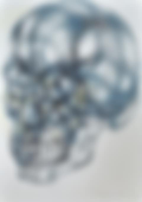 SKULL (INTERIOR LANDSCAPE) (preview)