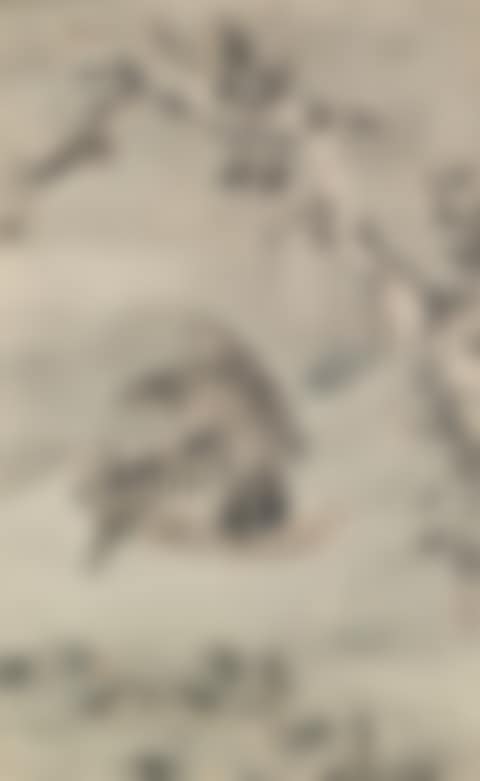 Eagle in Snow (preview)