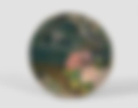 Flowers and bird, tambourine decor (preview)