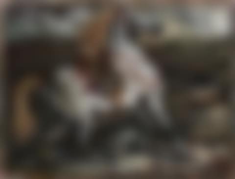 The white horse (preview)