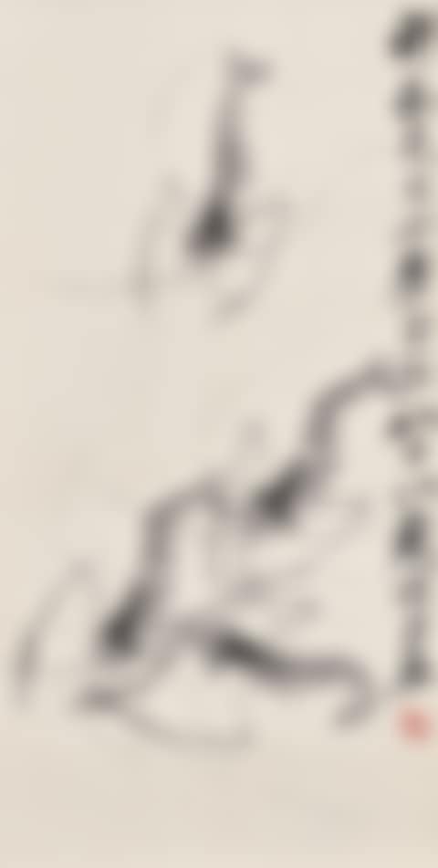 Shrimp (preview)
