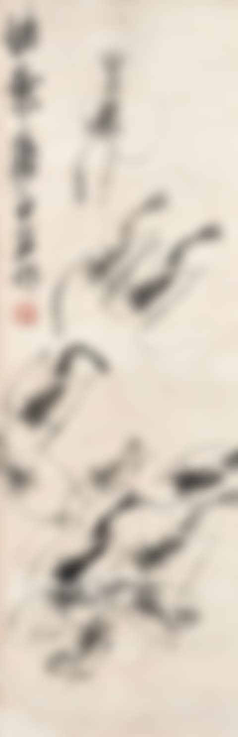 Shrimps (preview)