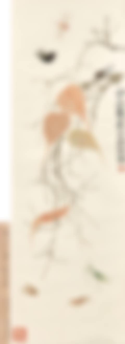 Insects and Leaves (preview)