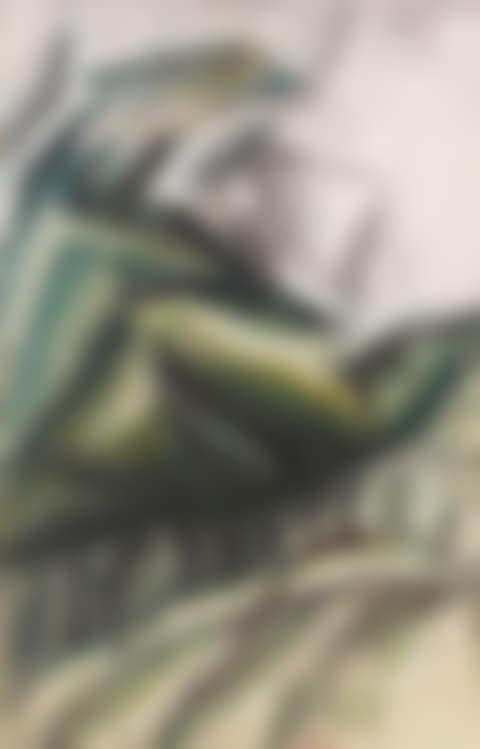 Waldszene (preview)