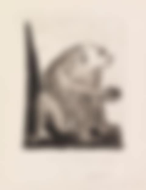 Le singe (preview)