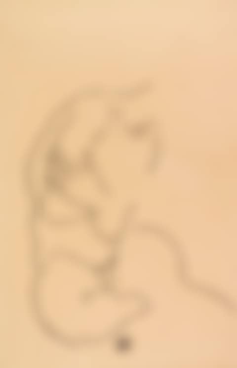 Sitzender weiblicher Torso (preview)