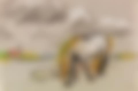 Pferd mit Fohlen (preview)