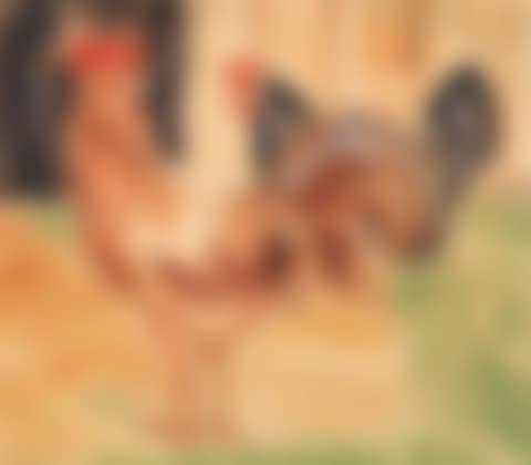 Hahn und Huhn (preview)