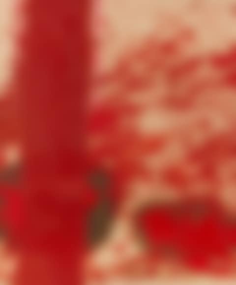 Wiener Secession (preview)
