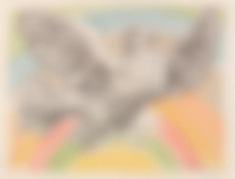 Colombe volant (à l'arc-en-ciel) (preview)