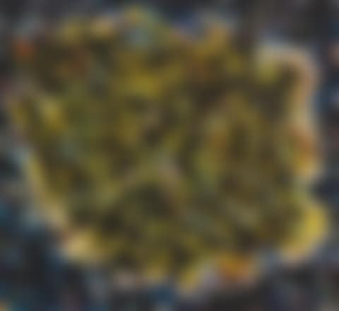 Constellation (preview)