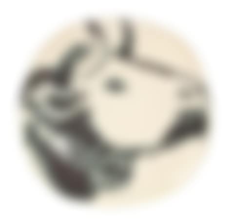 Bull's profile (preview)