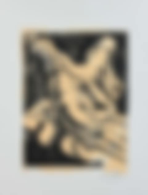 The hand (preview)