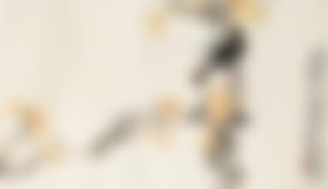 FLOWER AND BIRD (preview)
