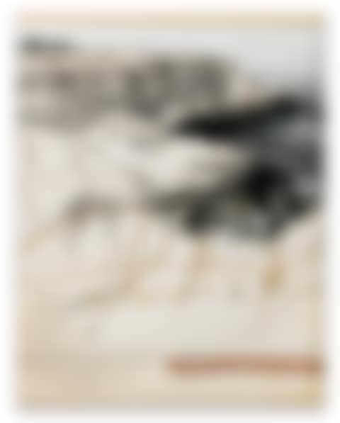 PACKED COAST (PROJECT FOR LITTLE BAY, NEAR SYDNEY, N.S.W. AUSTRALIA) (preview)
