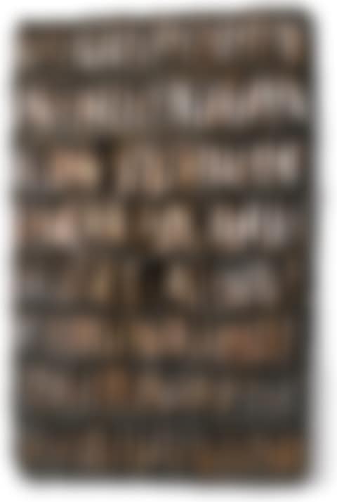 PLAQUE À AILETTES (preview)