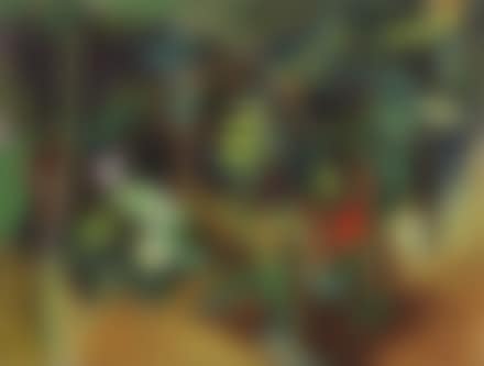 Nel giardino (preview)