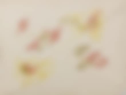 Senza titolo (preview)