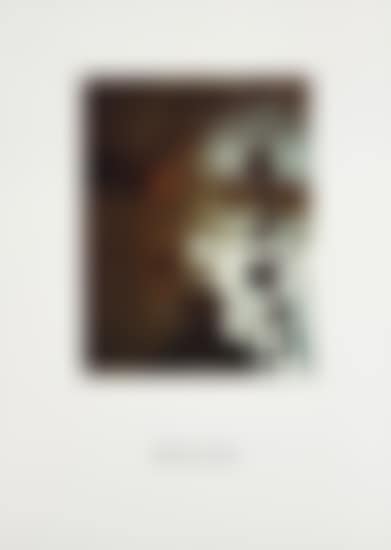 Polaroid Portrait: Max Ernst 18.3.73 (preview)