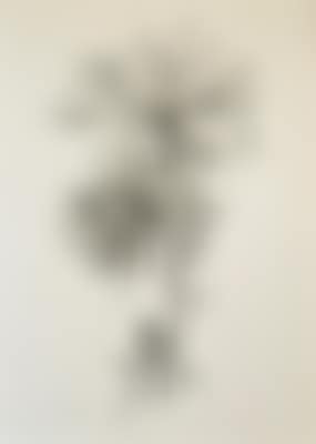 „Fireworks, Figure 19“ from Photography for Pastime (preview)