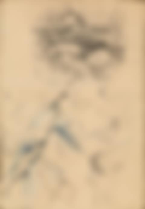 Nature Sketch for the Leaf Children Series (preview)