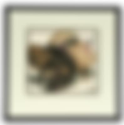 Turkeys (preview)