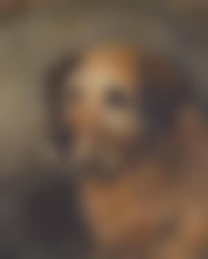 Bob, a terrier (preview)