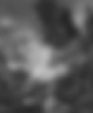 Monk in a landscape (preview)